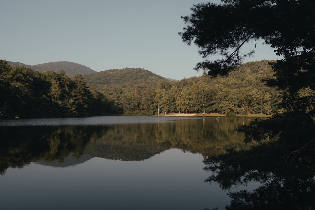 Rayons de lumière filtrant à travers une forêt calme, symbolisant le calme intérieur et la sérénité retrouvée grâce à la méditation anti-stress.